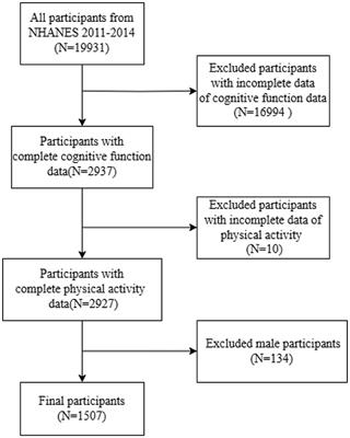 Physical activity patterns and cognitive function in elderly women: a cross-sectional study from NHANES 2011–2014